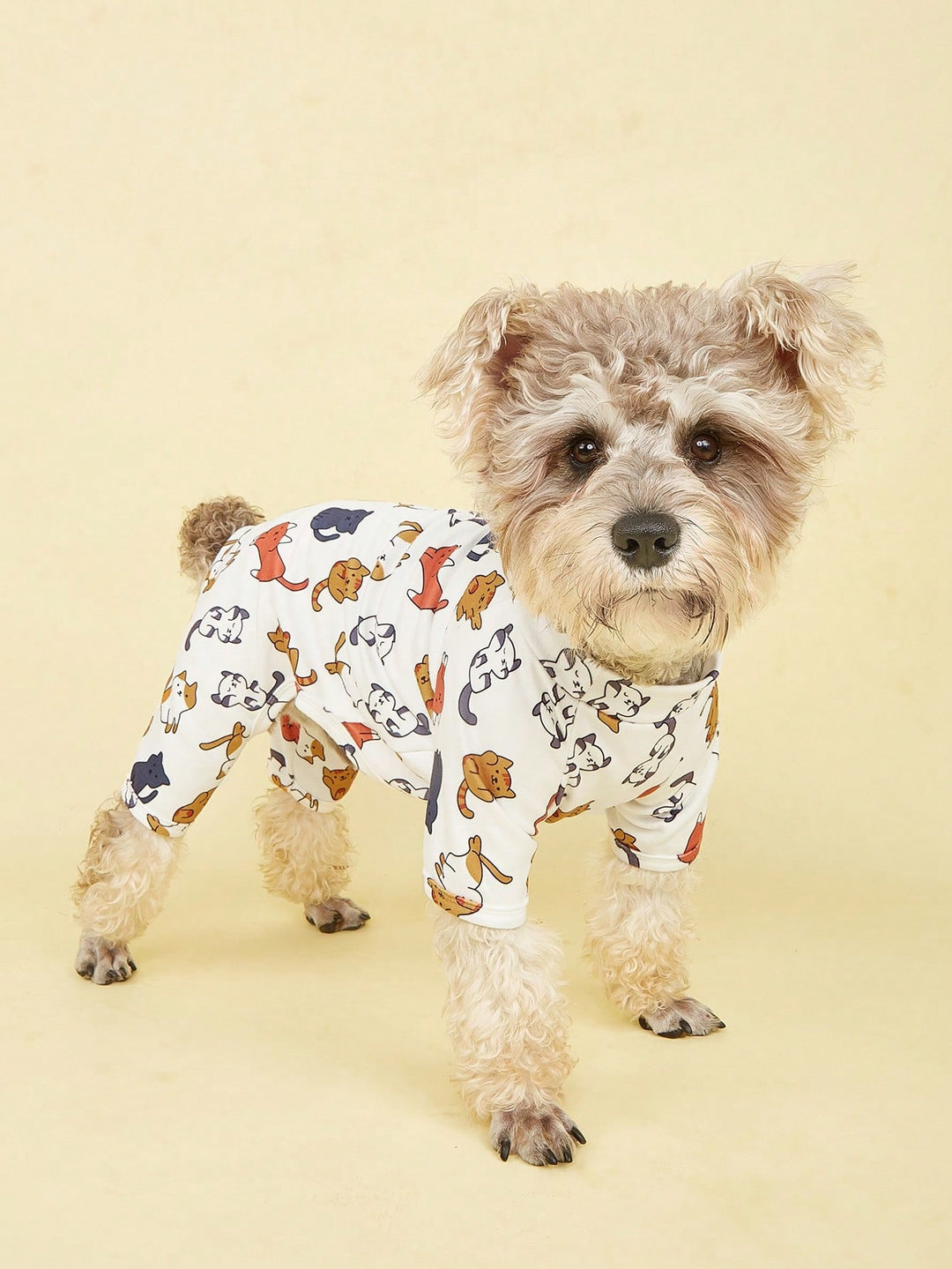 Pijama SHEIN, mix culori