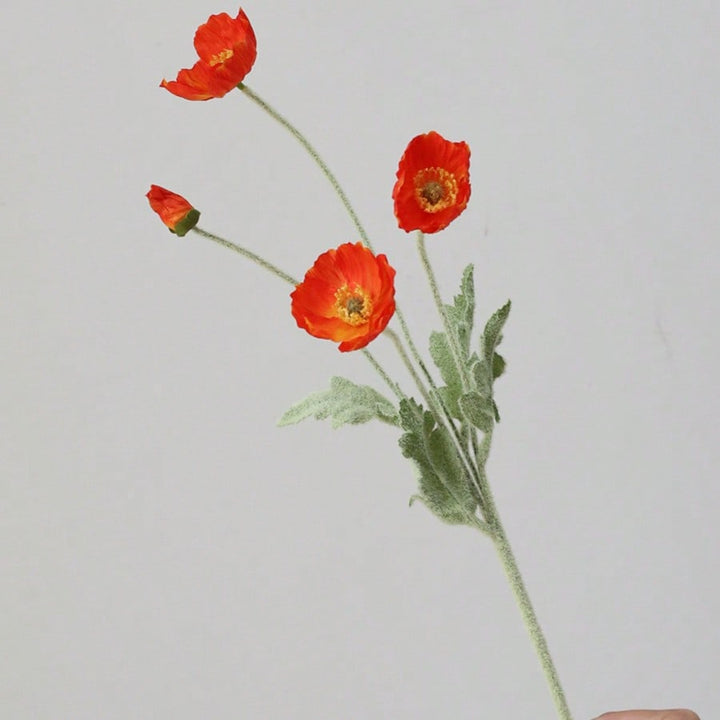 Decorațiune SHEIN, mix culori