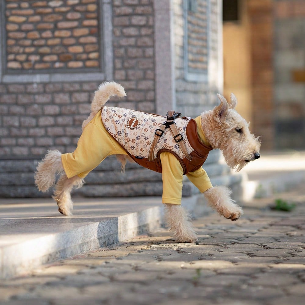 Haină pentru animale SHEIN, mix culori