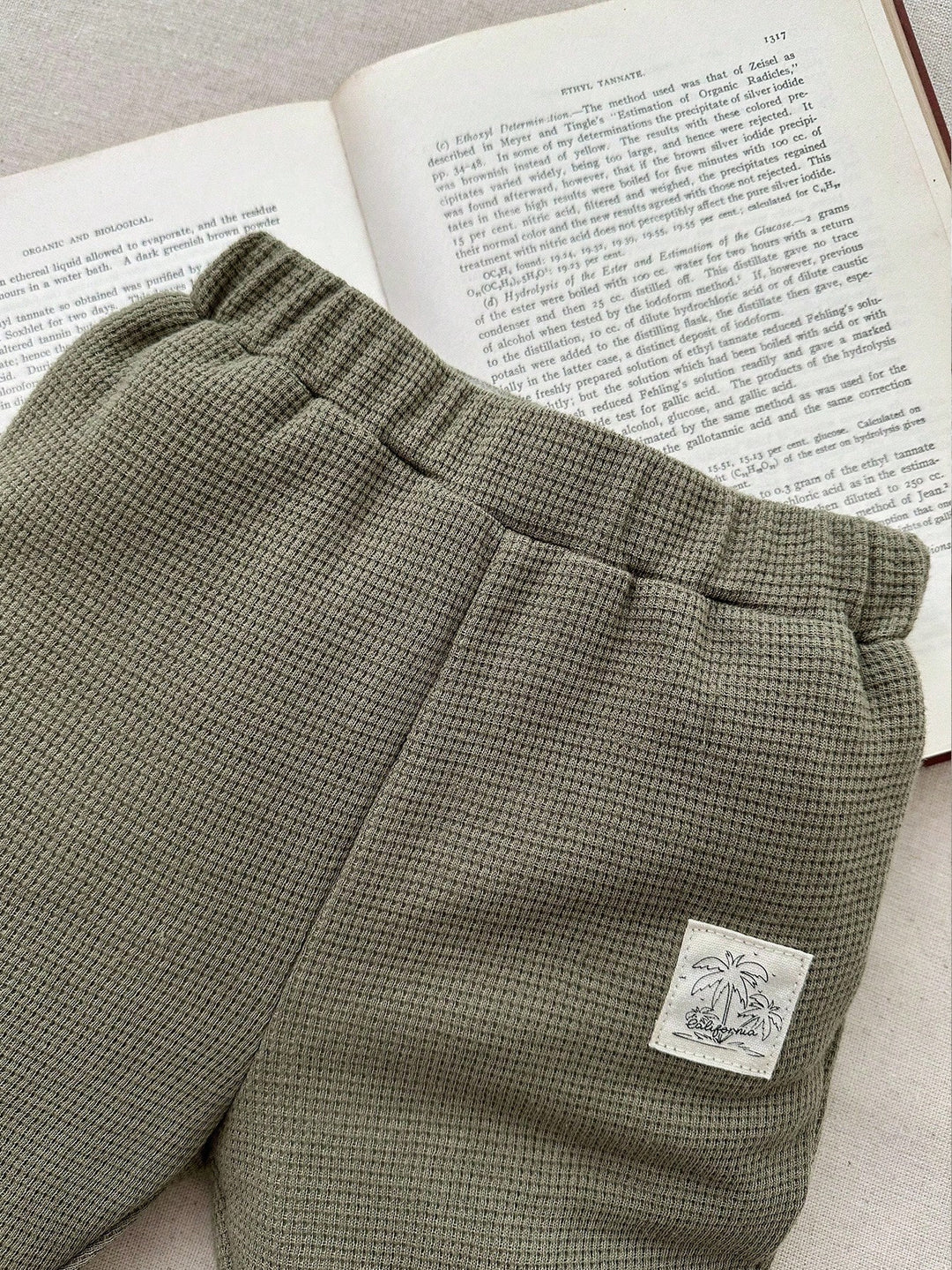 Compleu SHEIN, verde