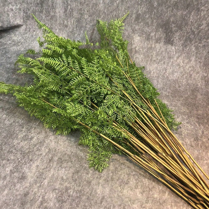 Plante artificiale SHEIN, mix culori