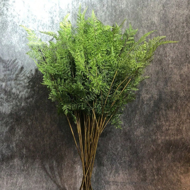 Plante artificiale SHEIN, mix culori