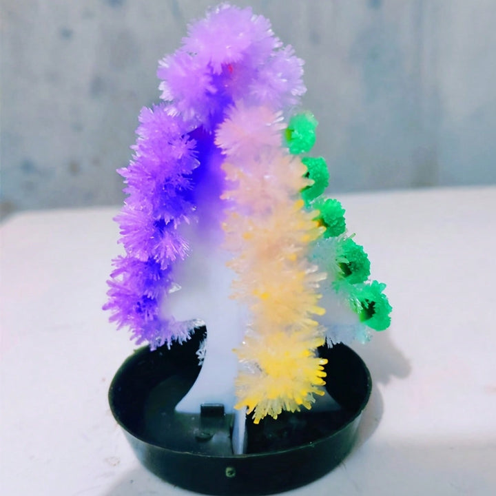 Decorațiune SHEIN, mix culori