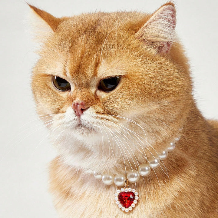 Colier pentru animale SHEIN, mix culori