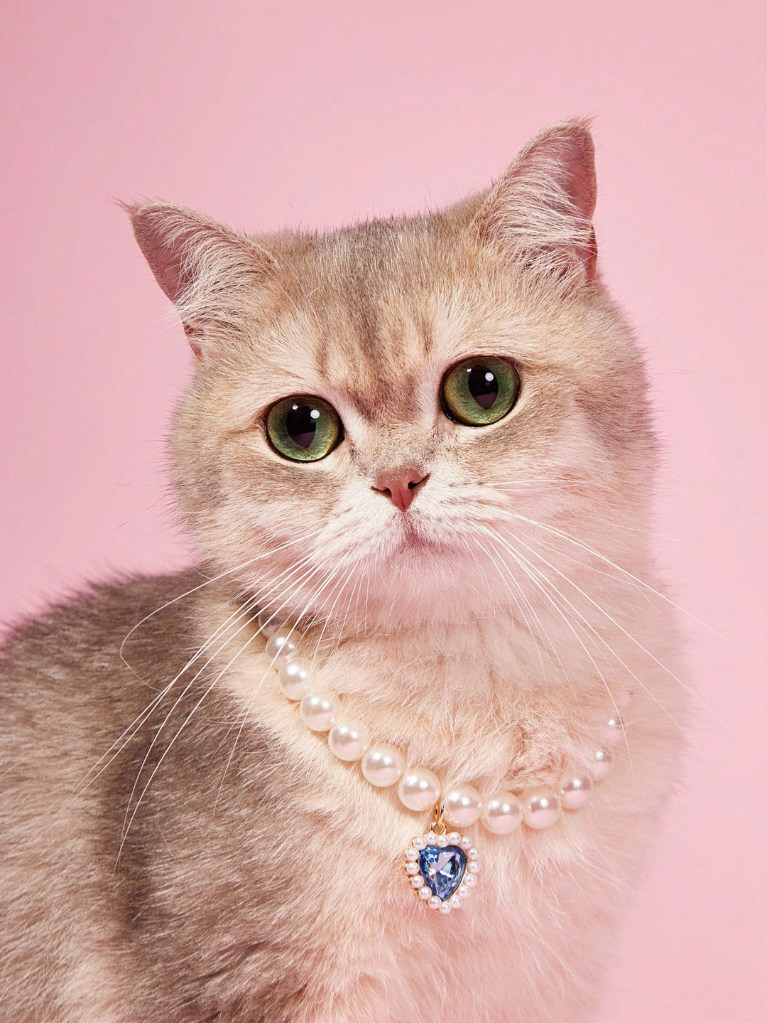 Colier pentru animale SHEIN, mix culori