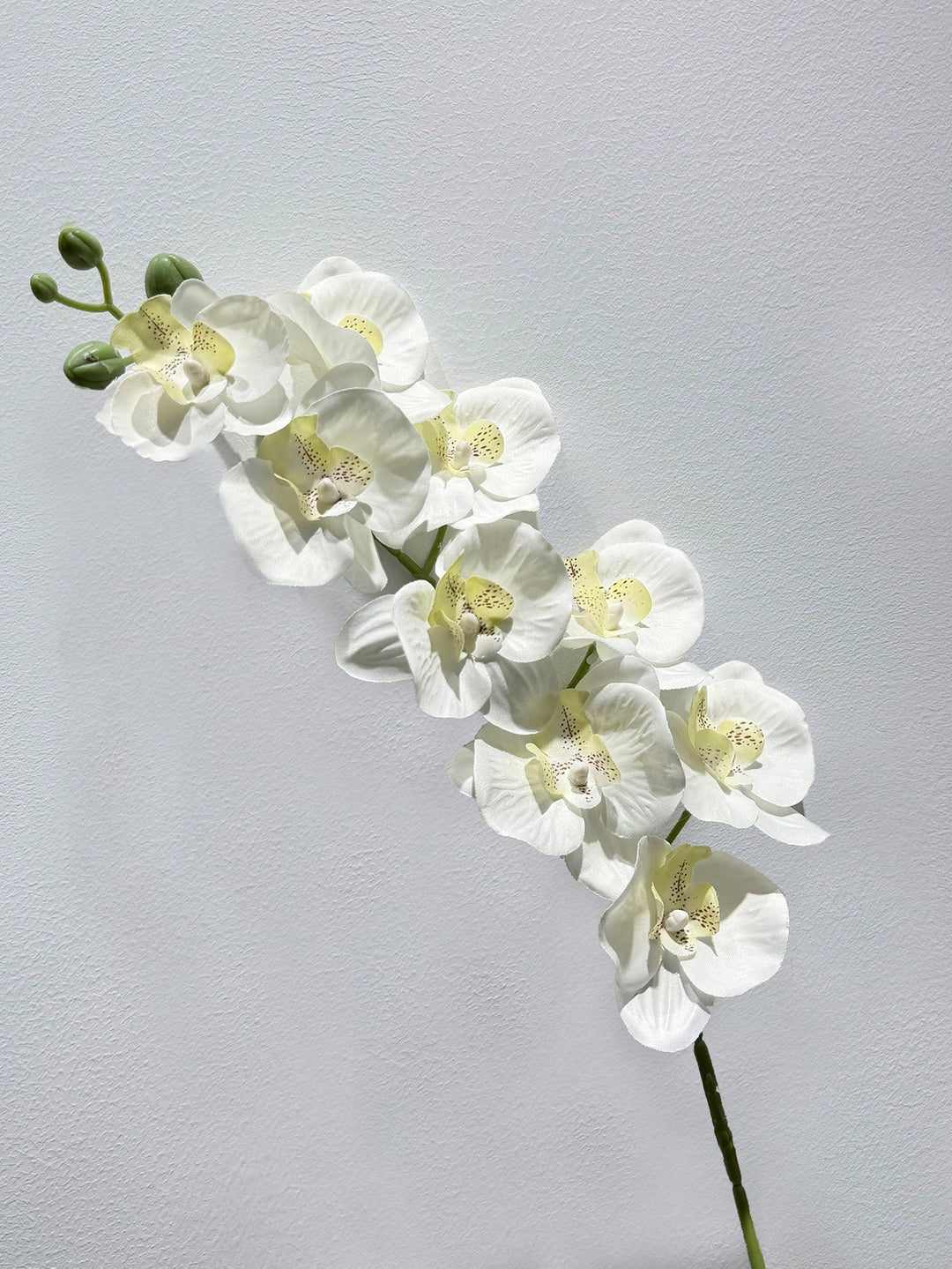Floari artificiale SHEIN, alb