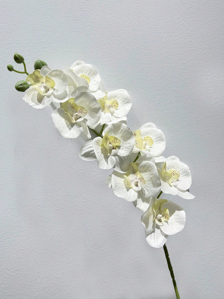 Floari artificiale SHEIN, alb