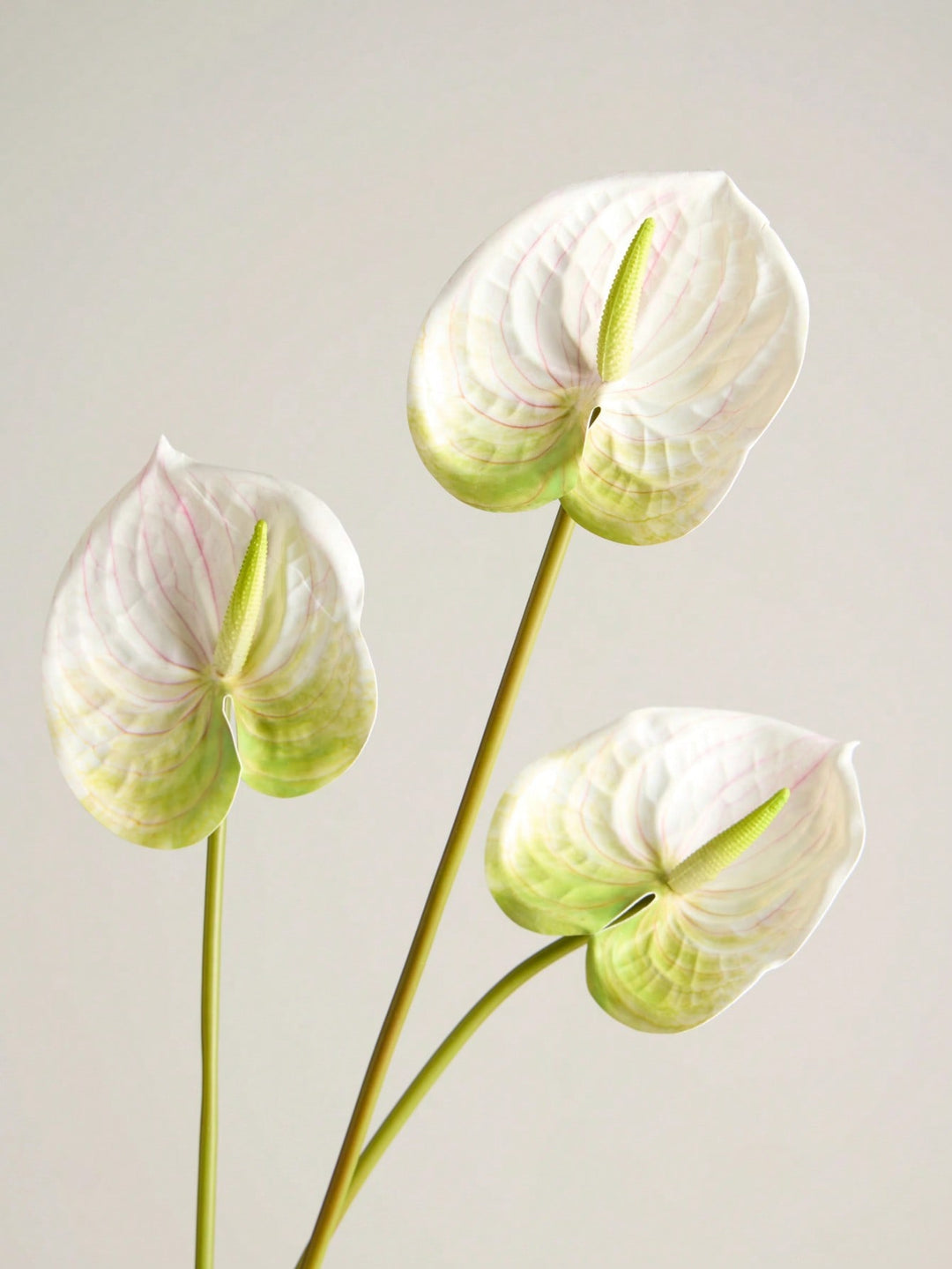 Floari artificiale SHEIN, mix culori