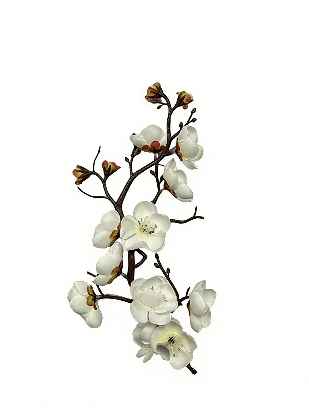 Vas decorativ SHEIN, mix culori