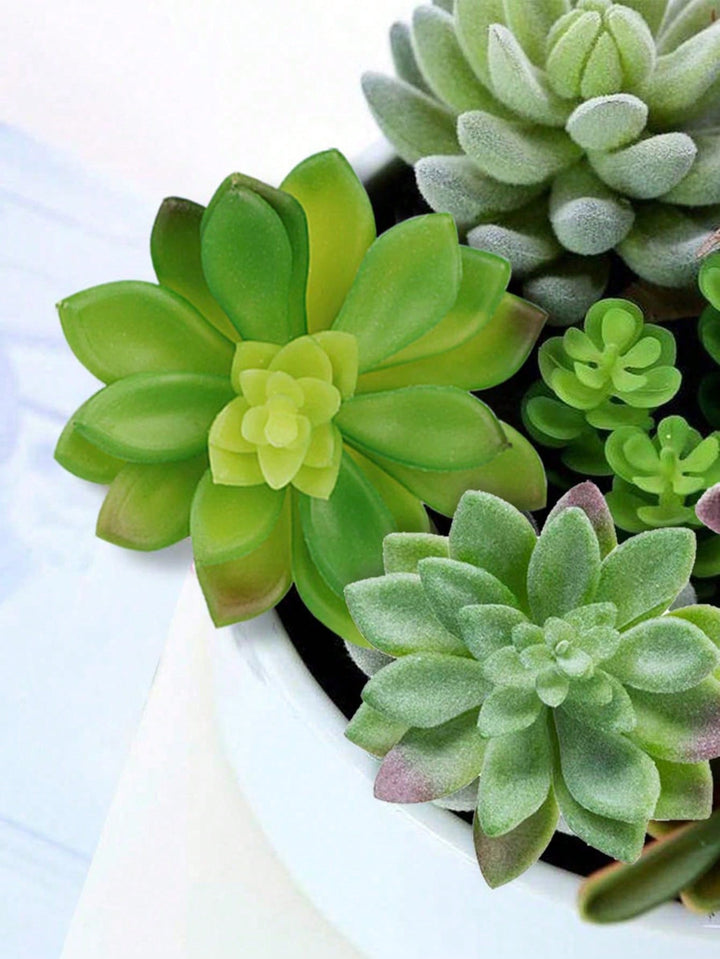 Plante artificiale SHEIN, mix culori