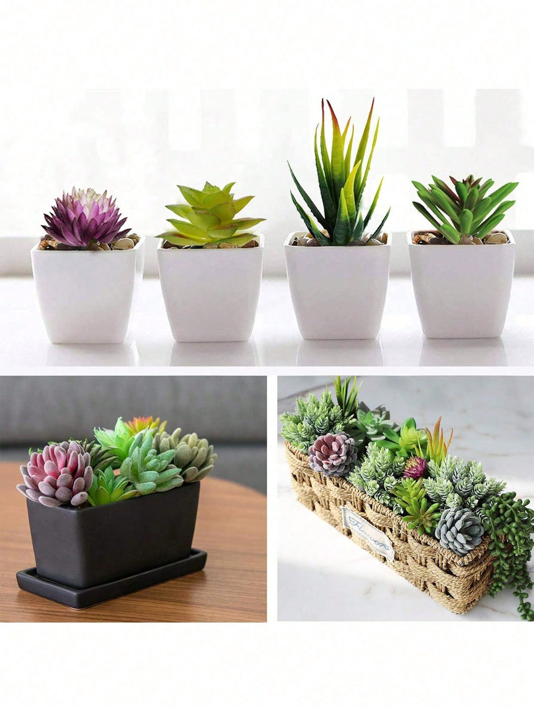 Plante artificiale SHEIN, mix culori