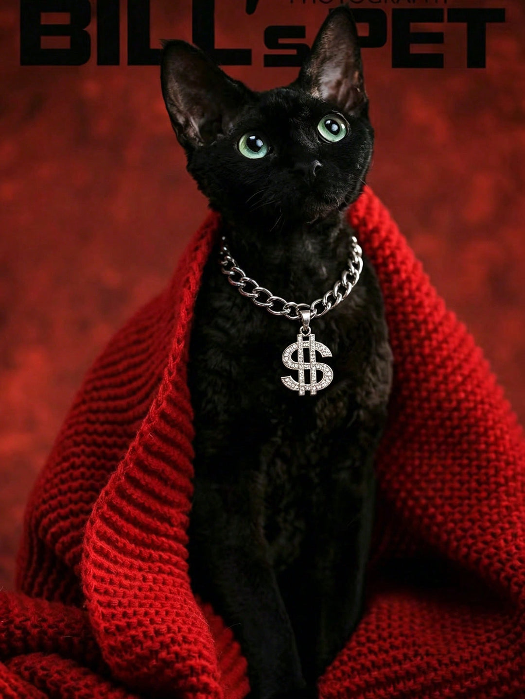 Colier pentru animale SHEIN, mix culori