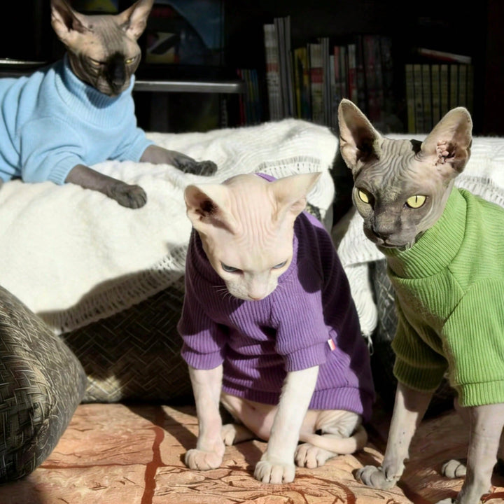 Pijama SHEIN, mov
