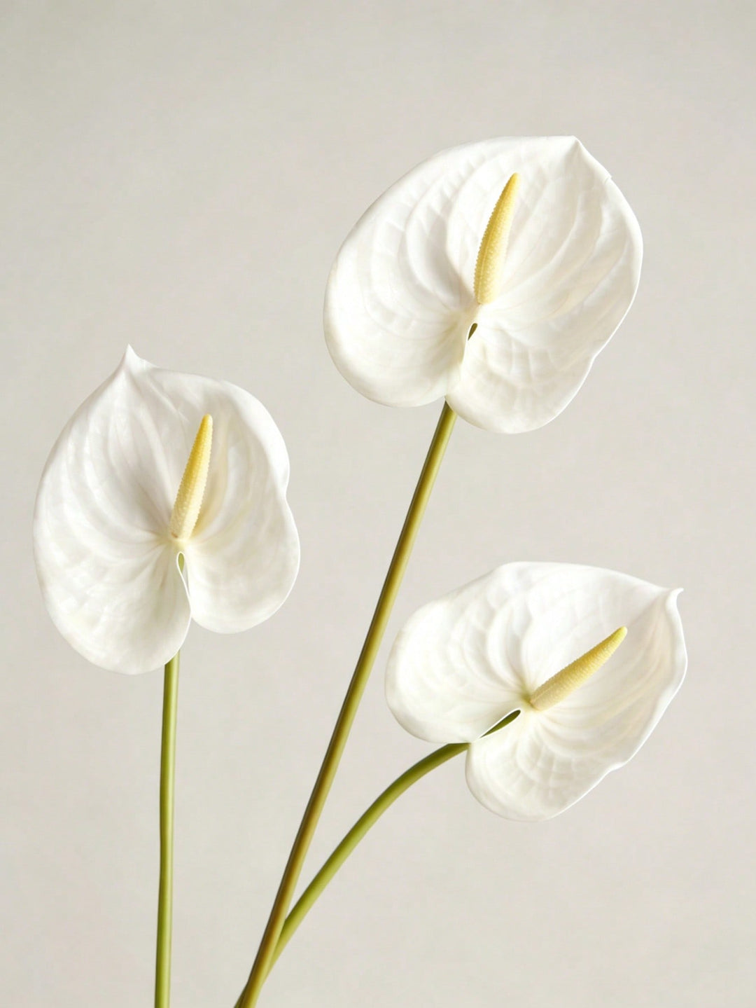 Floari artificiale SHEIN, alb
