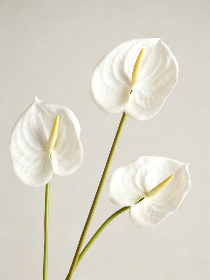 Floari artificiale SHEIN, alb