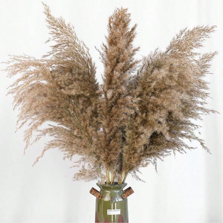 Plante artificiale SHEIN, bej