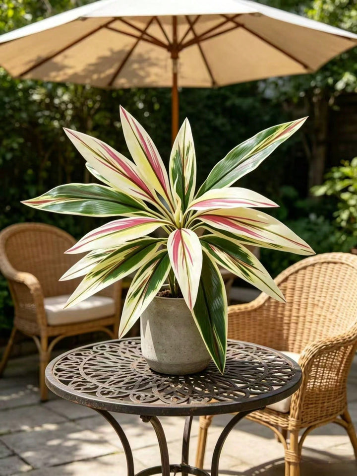 Plante artificiale SHEIN, verde