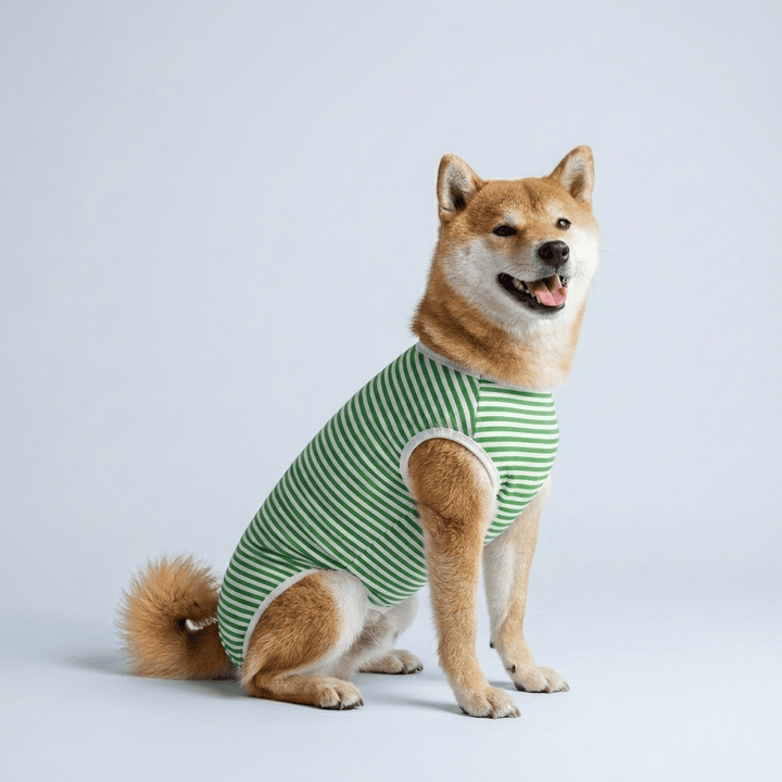 Costum de recuperare pentru animale SHEIN, verde