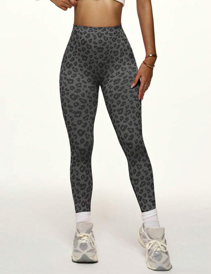 Colanti Shein, gri