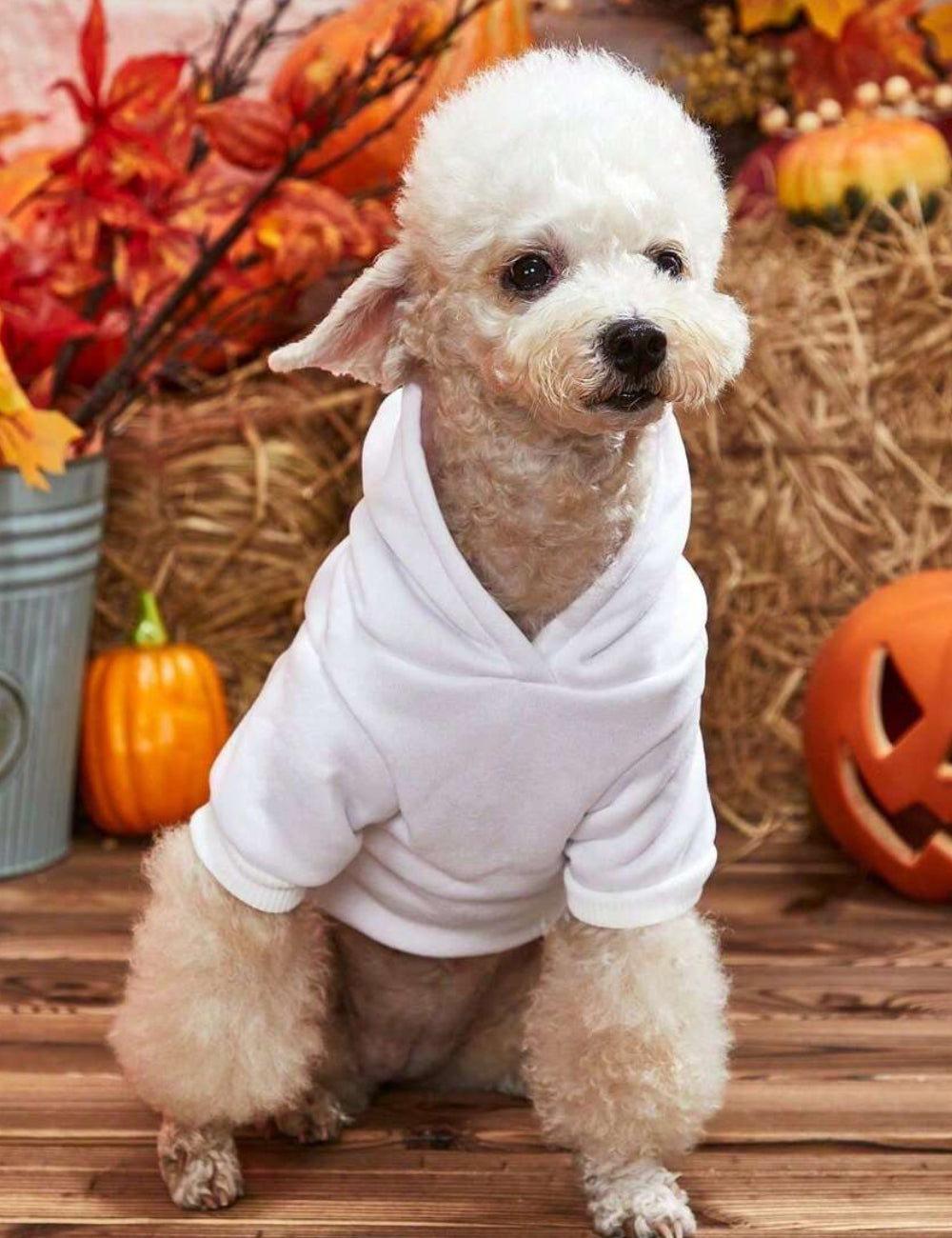 Haină pentru animale Shein, alb