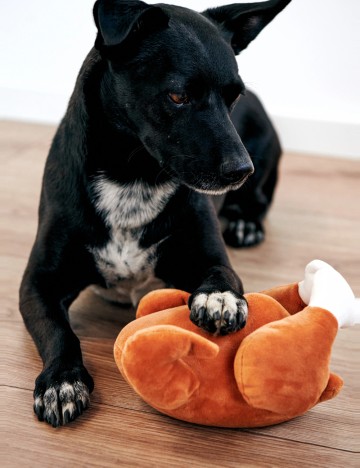Jucărie pentru animale Sinsay, maro