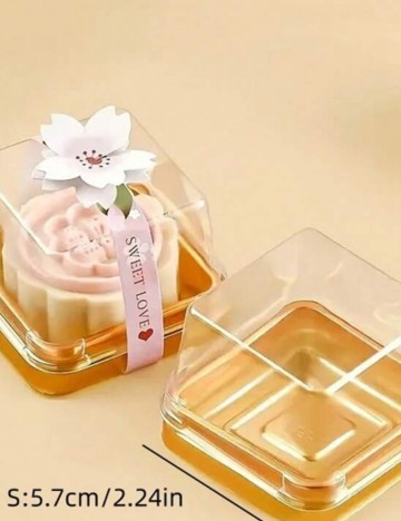 Set cutii transparente pentru fursecuri Shein, transparent