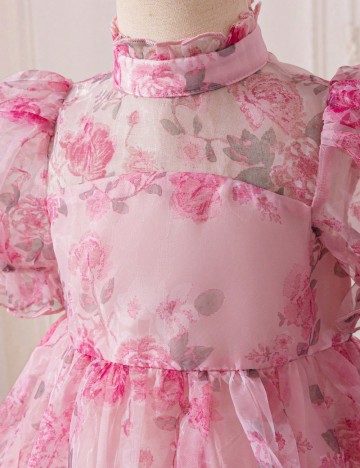 Rochie Shein, roz