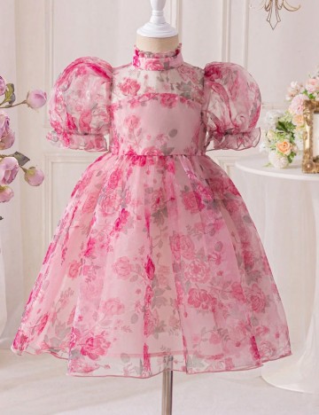 Rochie Shein, roz