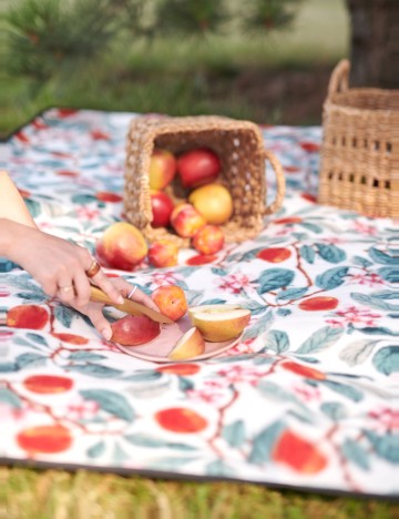 Pătură de picnic Sinsay, mix culori
