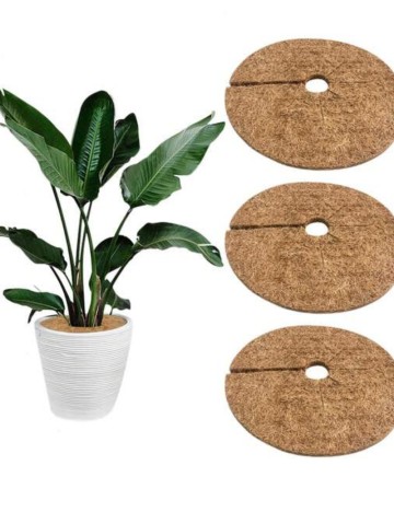 Accesoriu decorativ Shein, mix culori