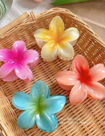 Set Clame Shein, mix culori