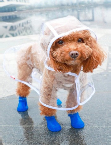 Pelerină de ploaie Shein, transparent