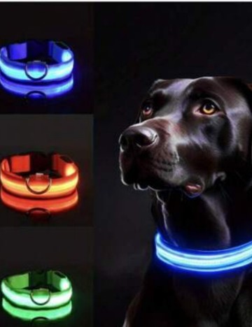 Zgardă Shein, albastru