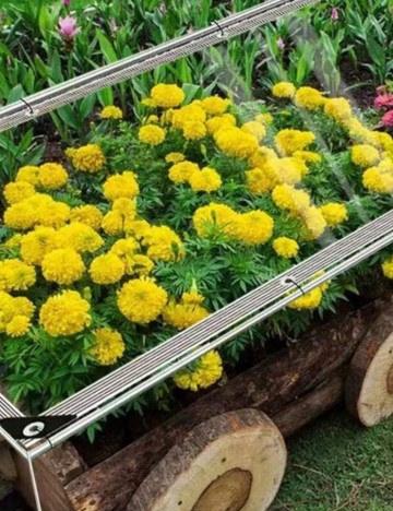 Prelată Shein, transparent