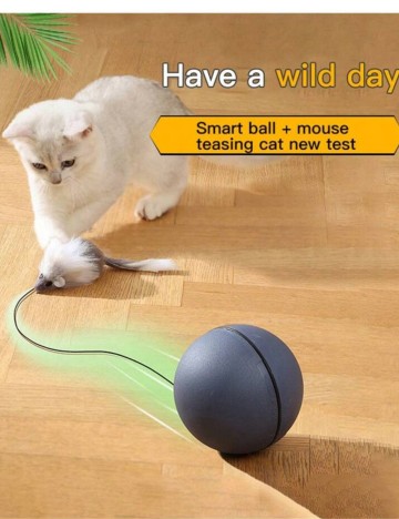 Jucărie interactivă pentru pisici Shein, mix culori