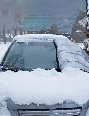 Protecție pentru mașină Shein, negru