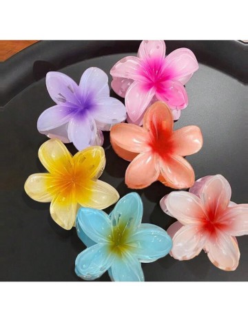 Set Clame Shein, mix culori