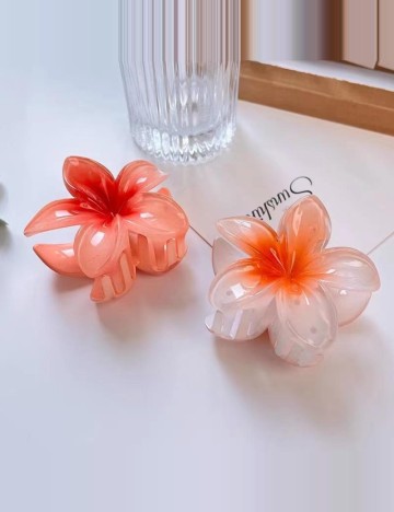 Set Clame Shein, mix culori