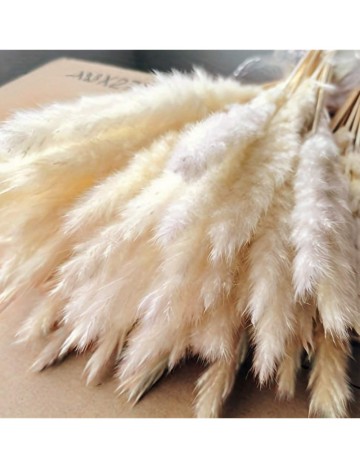 Plantă artificială decorativă Shein, crem