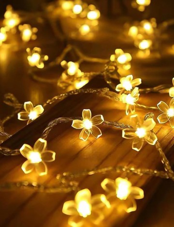 Instalație Shein, transparent