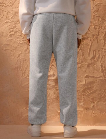 Pantaloni Shein, gri