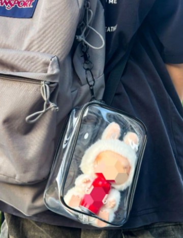 Portfard Shein, transparent