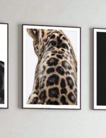 P&acirc;nză cu imprimeu Shein, mix culori