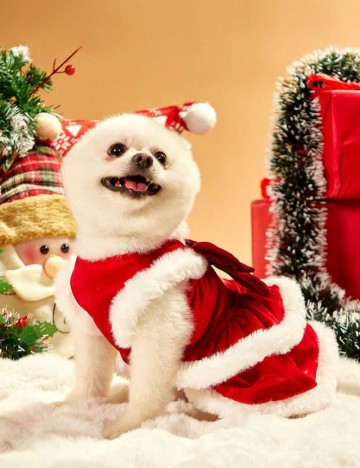 Haină pentru animale Shein, roșu